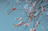 唐代杜甫的《立春日观潮》是最具有代表性的立春的古诗
